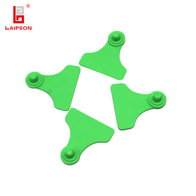 Reusable Pig Ear Tags with Closed Head Design Ideal for Identification in pig cow sheep