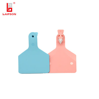 Top TPU Single Nontoxic Medium Single Z-Type Dairy Bovine Buffalo Calf Ear Tag For Farm