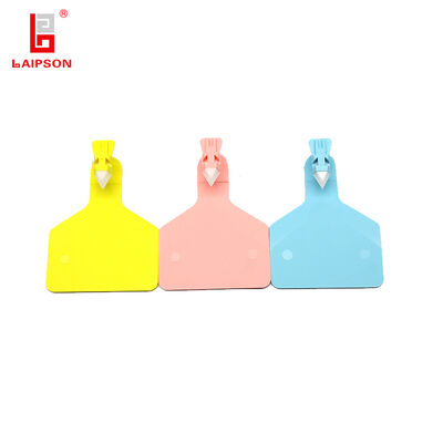Top TPU Single Nontoxic Medium Single Z-Type Dairy Bovine Buffalo Calf Ear Tag For Farm